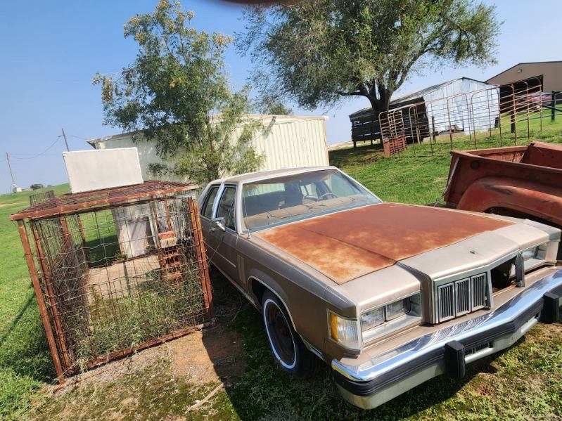 Mercury-Grand-Marquis-1981