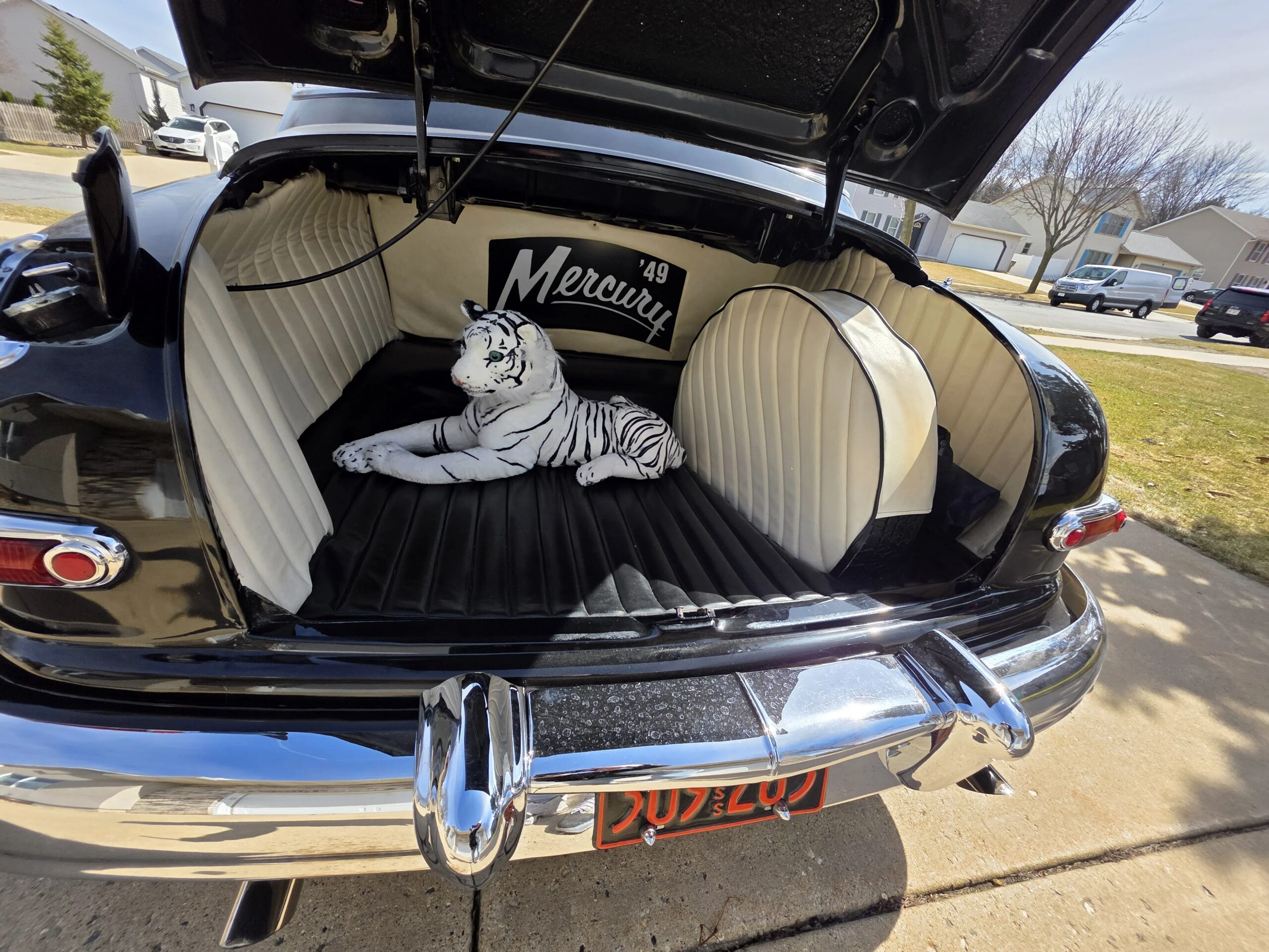 Mercury-Other-mercury-models-1949-Black-White-8