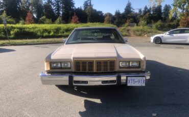 Mercury-marquis-brougham-1981-brown-3