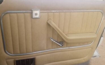 Mercury-monarch-1980-19