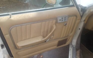 Mercury-monarch-1980-5