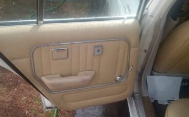 Mercury-monarch-1980-6