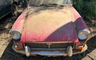 Mg-1973