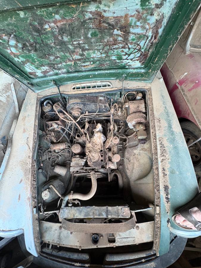 Mg-1973-8