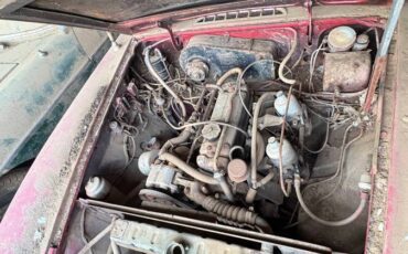 Mg-1973-9