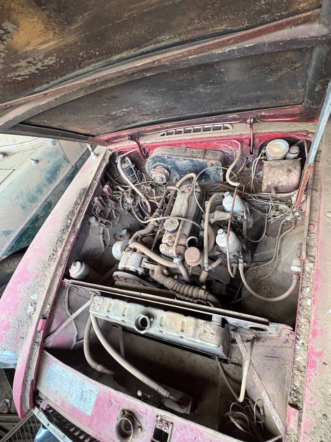Mg-1973-9