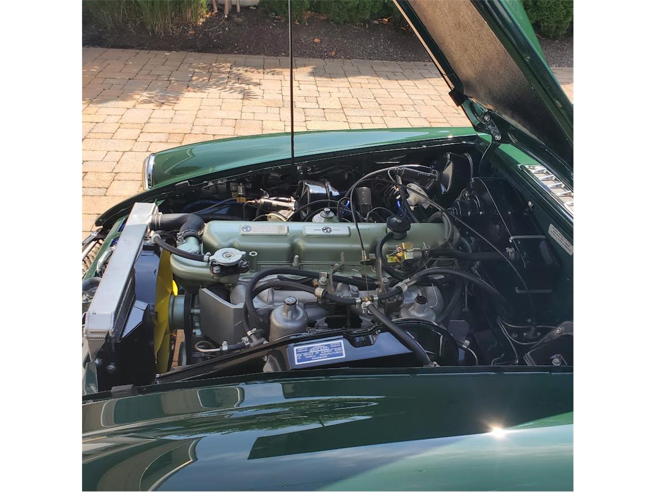 Mg-Cgt-1969-British-Racing-Green-Black-19