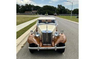 Mg-Td-1953-Beige-Brown-Beige-Brown-5