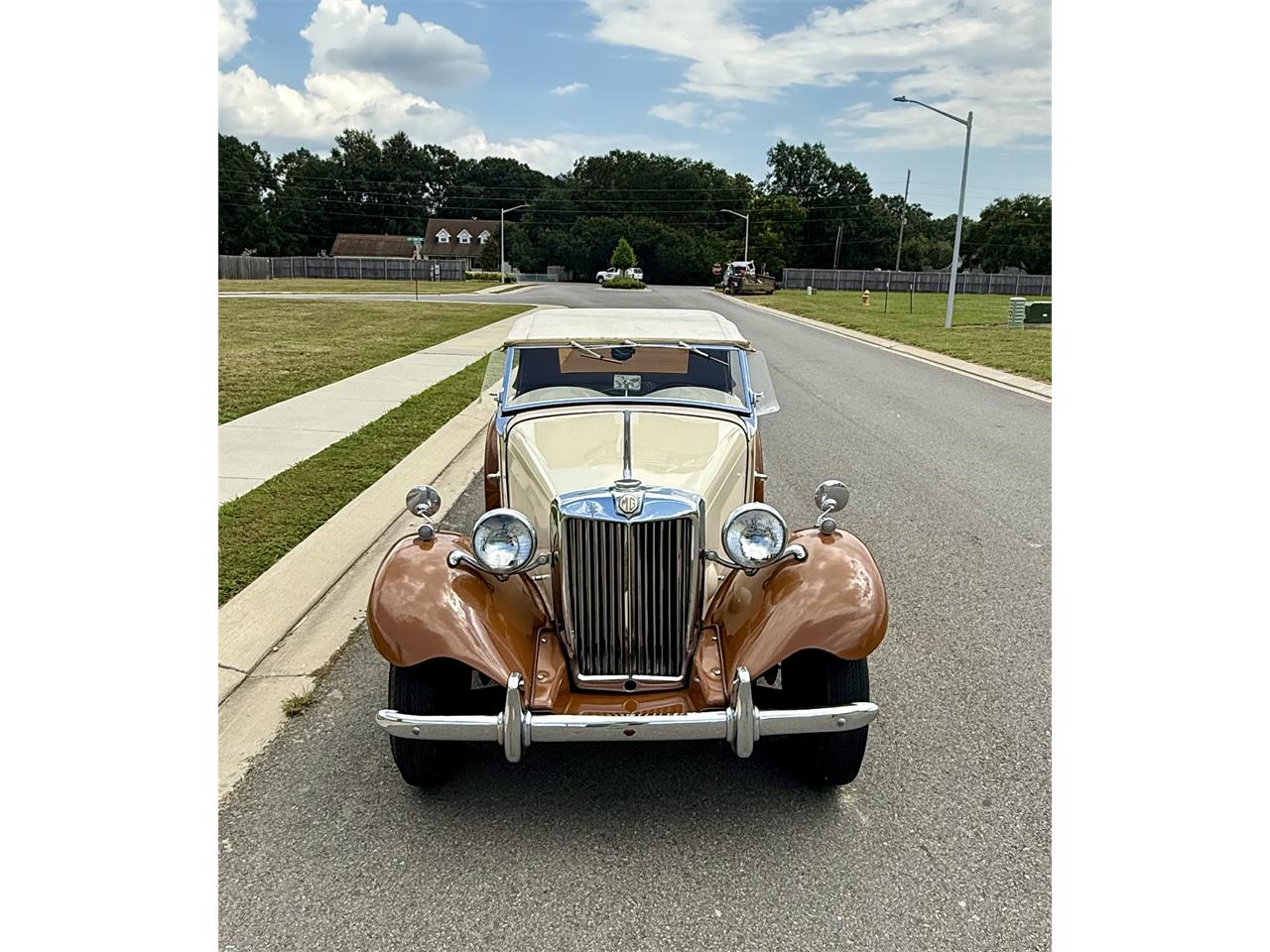 Mg-Td-1953-Beige-Brown-Beige-Brown-5