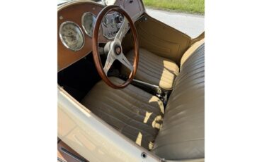 Mg-Td-1953-Beige-Brown-Beige-Brown-6