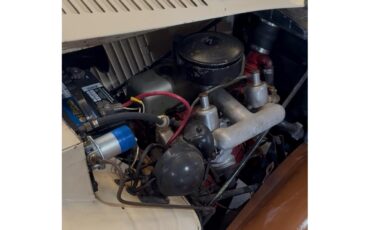 Mg-Td-1953-Beige-Brown-Beige-Brown-8