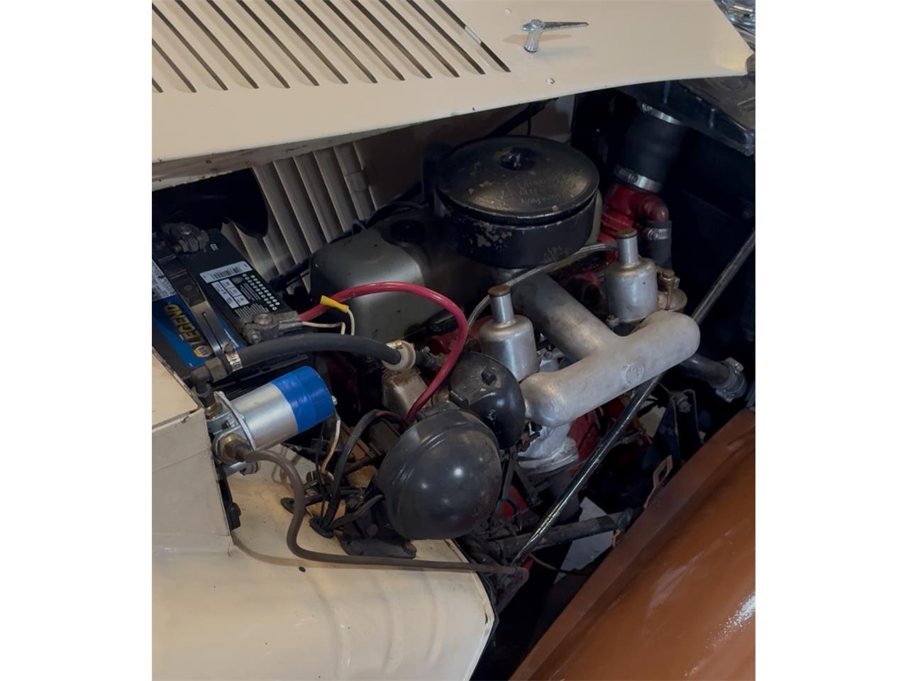 Mg-Td-1953-Beige-Brown-Beige-Brown-8