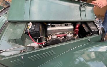 Mg-tf-1250-1954-green-10