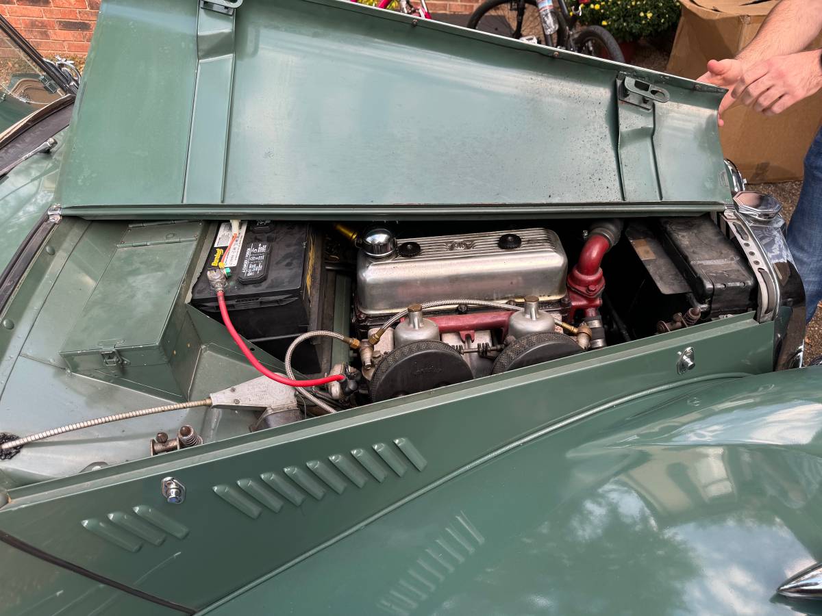Mg-tf-1250-1954-green-10
