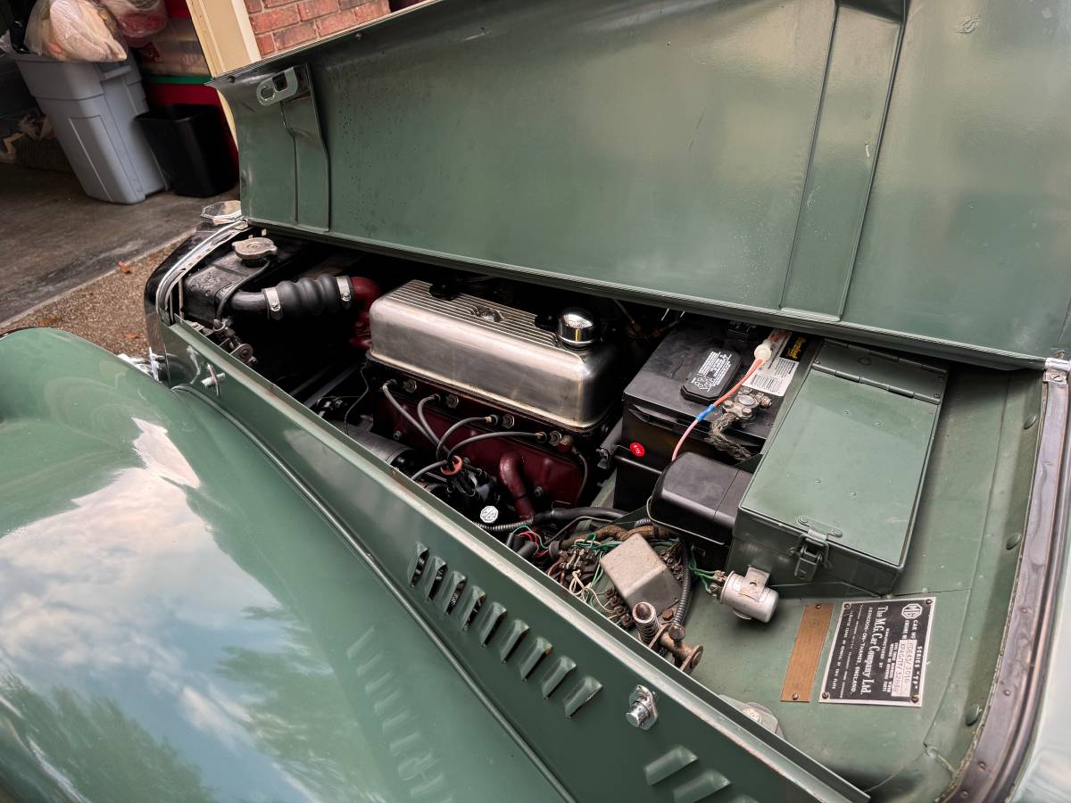 Mg-tf-1250-1954-green-7