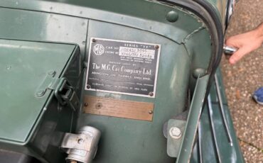 Mg-tf-1250-1954-green-8
