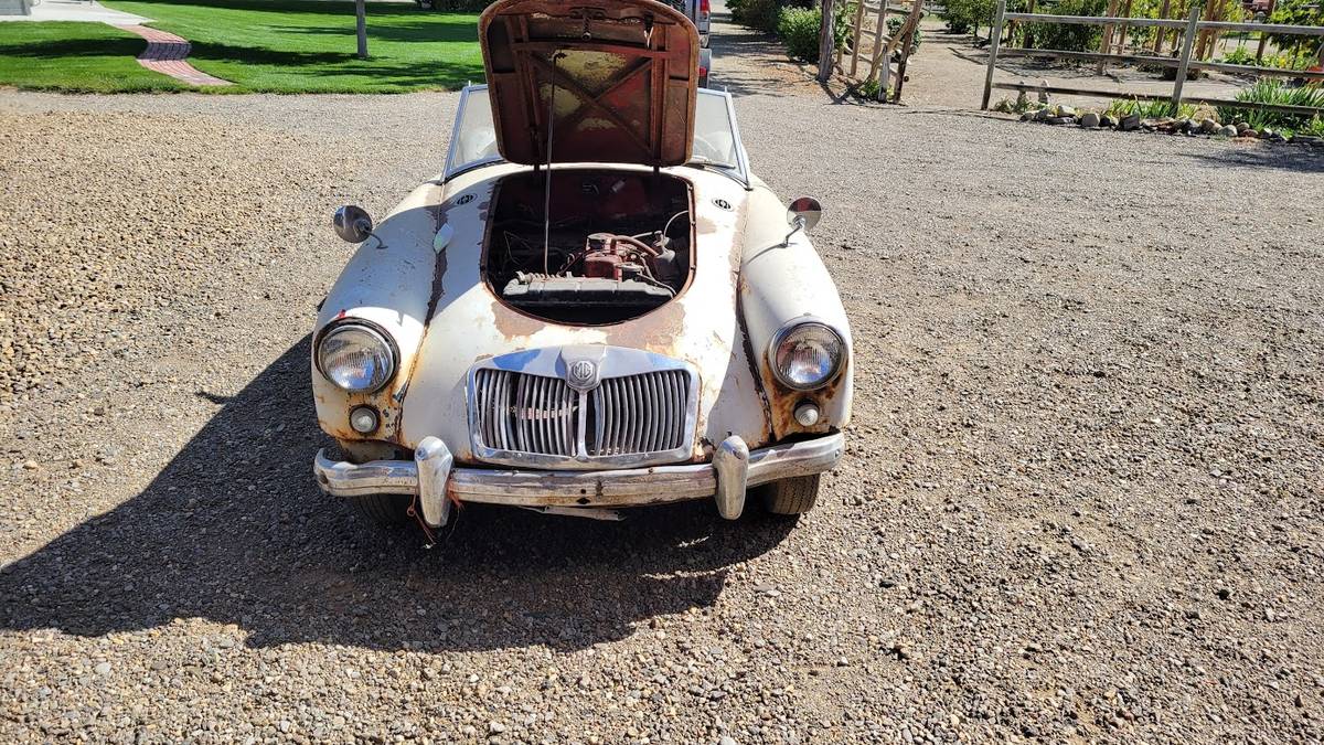 Mga-1956-white-9