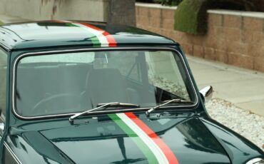 Mini-Classic-Mini-1992-3