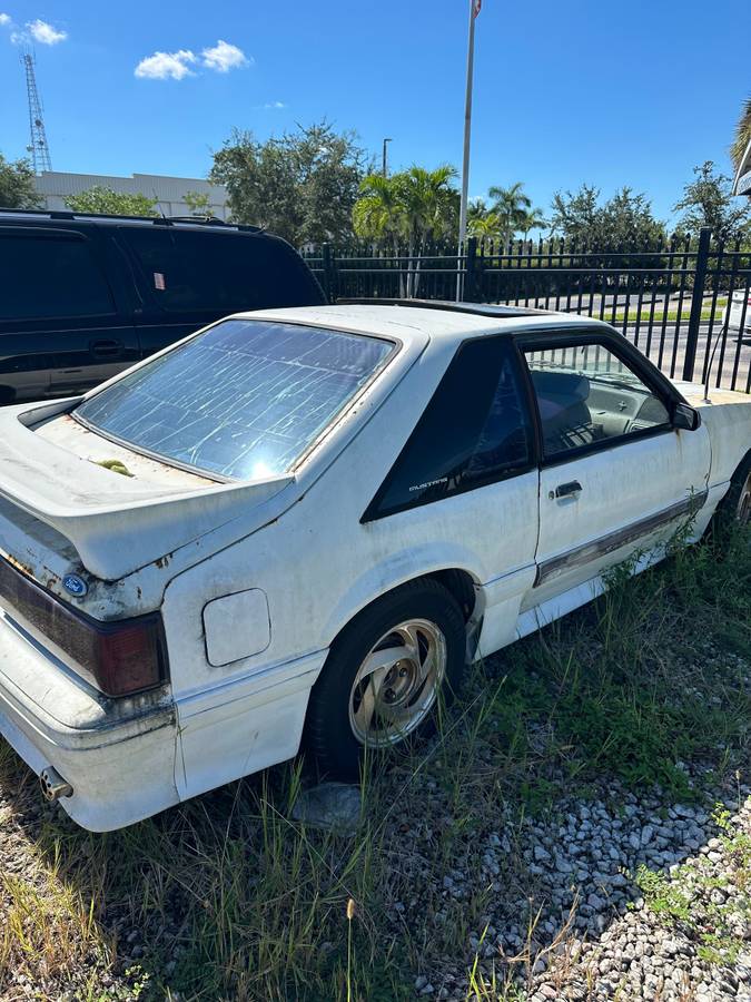 Mustag-gt-1989-white-1