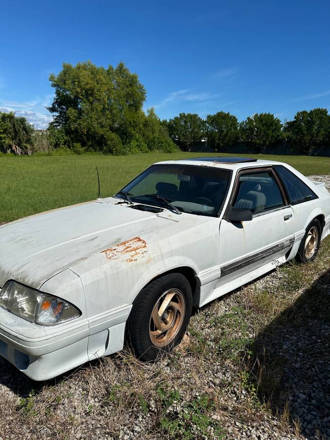 Mustag-gt-1989-white-2