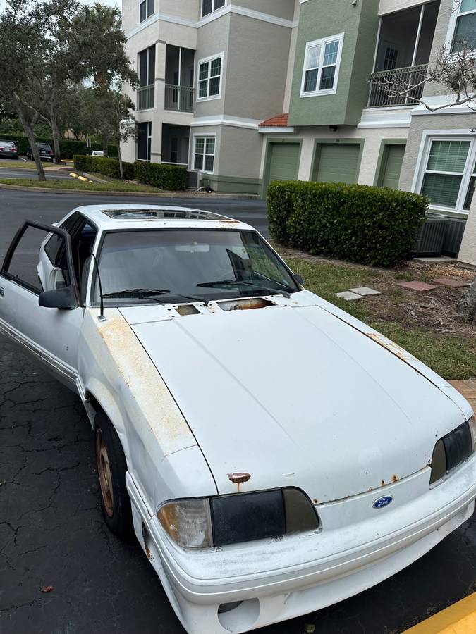 Mustag-gt-1989-white-5