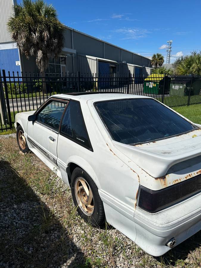 Mustag-gt-1989-white