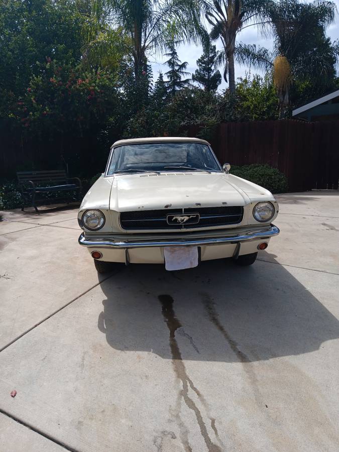 Mustang-1965-2