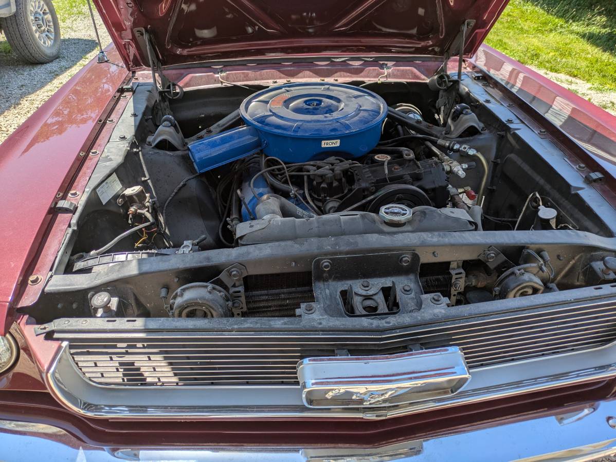 Mustang-1966-custom-1