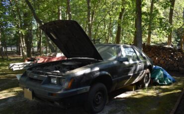 Mustang-lx-coupe-1986-red-21