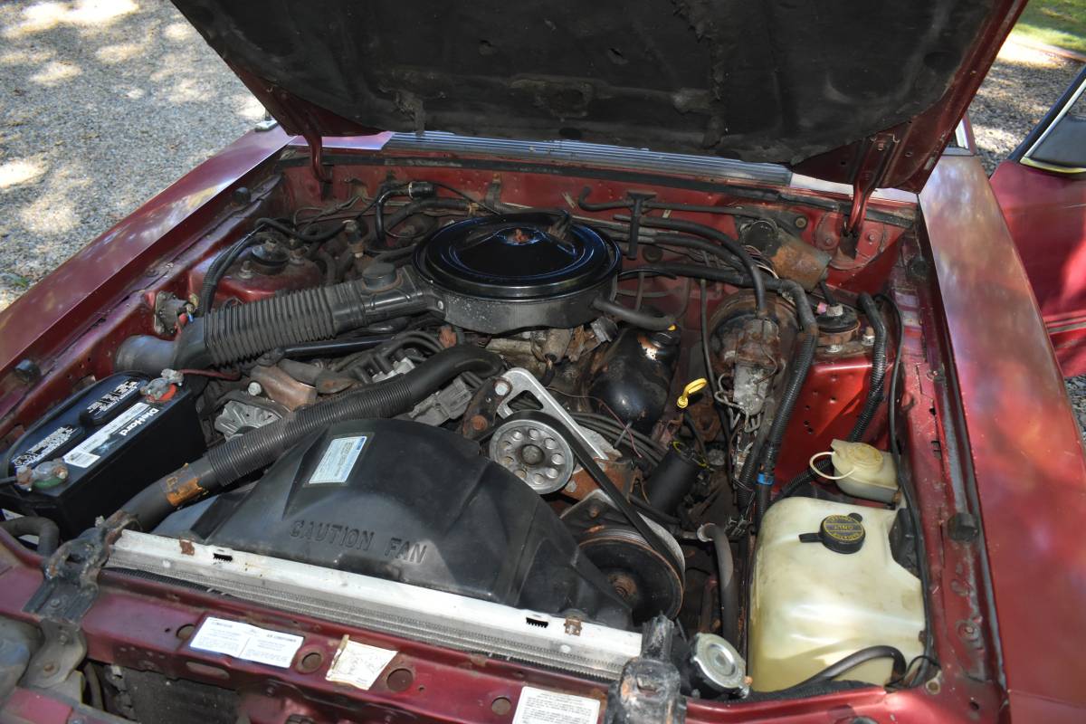 Mustang-lx-coupe-1986-red-4