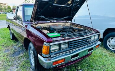 Nissan-720-1985-Standard-Cab-Pickup-2