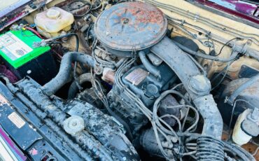 Nissan-720-1985-Standard-Cab-Pickup-3