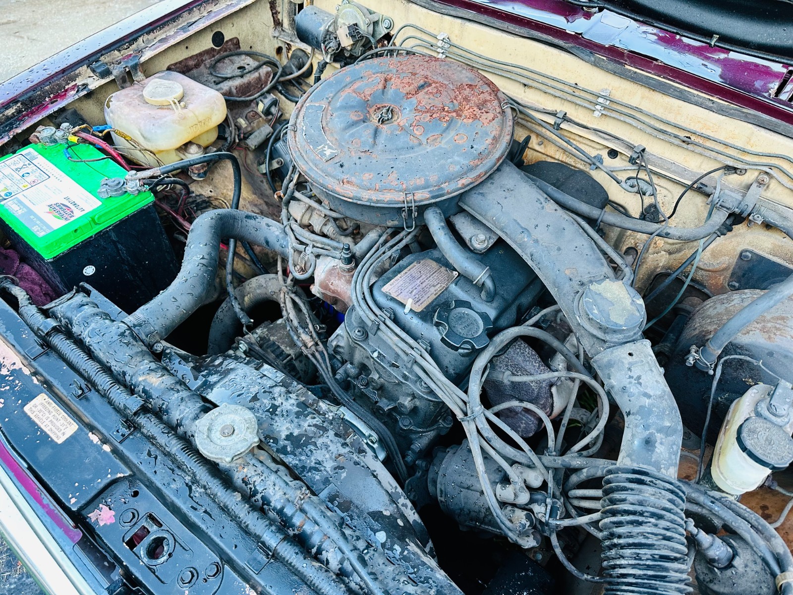 Nissan-720-1985-Standard-Cab-Pickup-3
