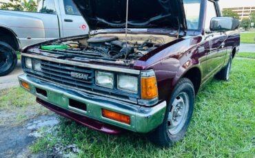 Nissan-720-1985-Standard-Cab-Pickup-6