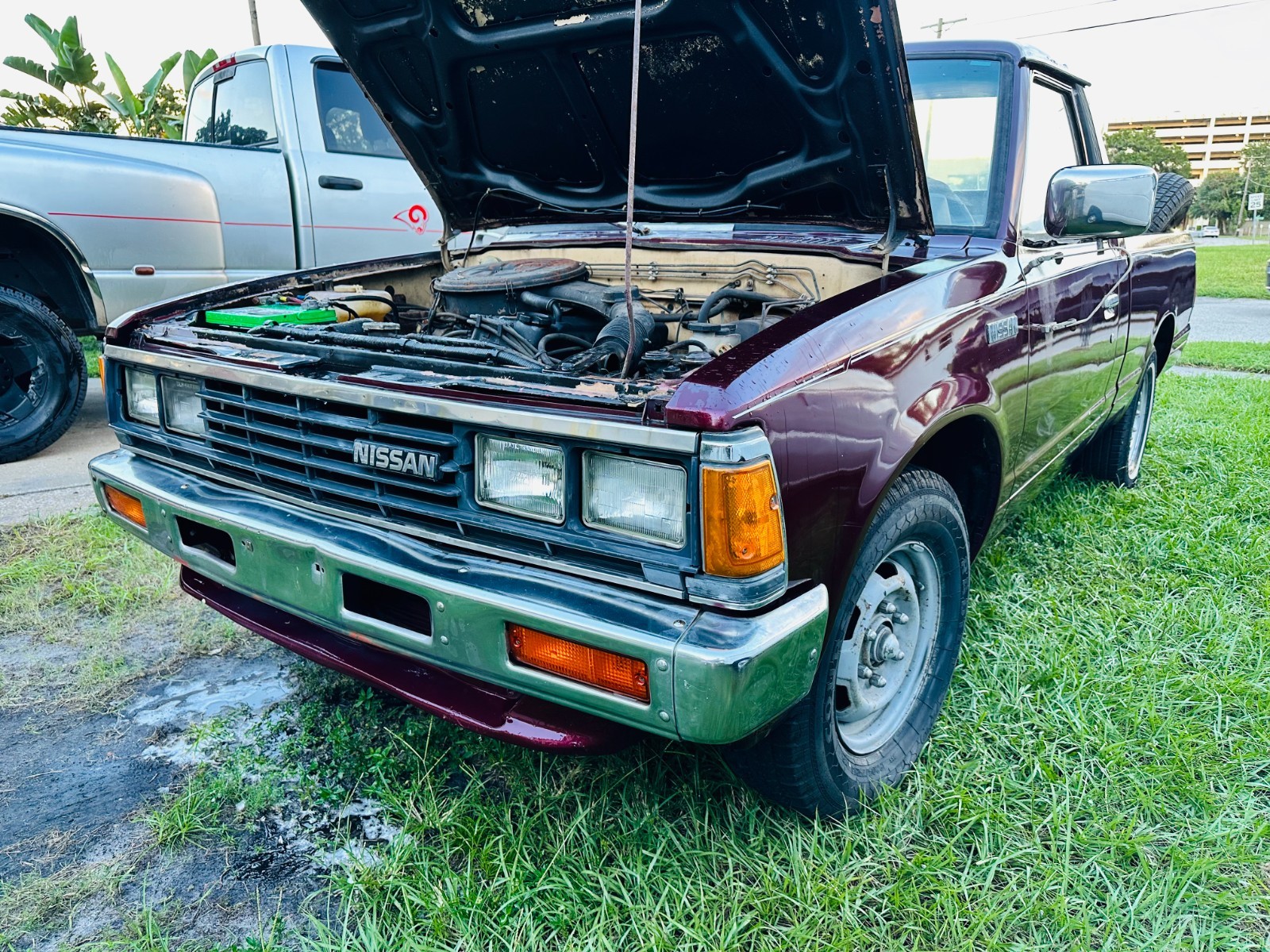 Nissan-720-1985-Standard-Cab-Pickup-6