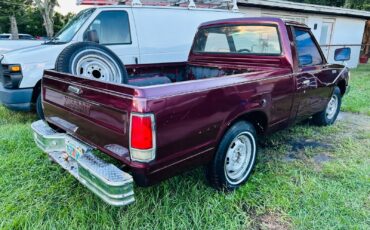 Nissan-720-1985-Standard-Cab-Pickup-7