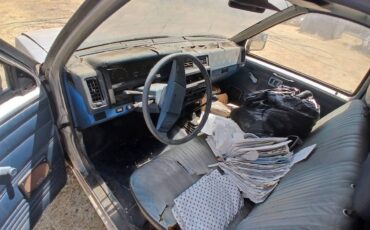 Nissan-d21-1988-brown-3