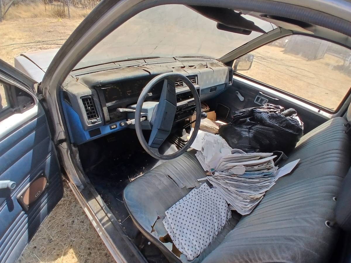 Nissan-d21-1988-brown-3