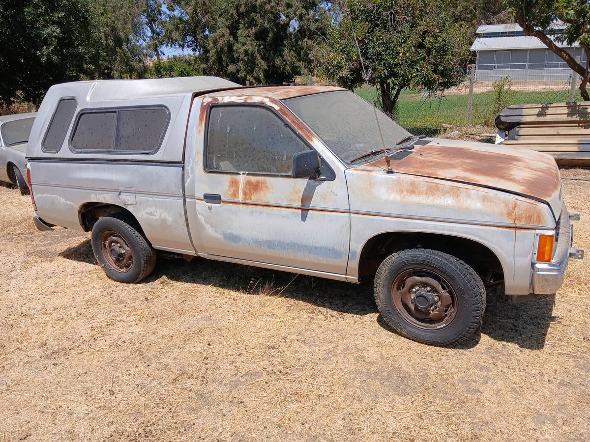 Nissan-d21-1988-brown-5