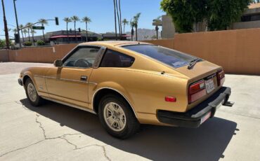 Nissandatsun-720-1981-brown-5