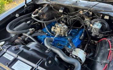 Oldsmobile-442-1970-10