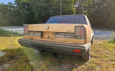 Oldsmobile-88-brougham-1990-brown-2
