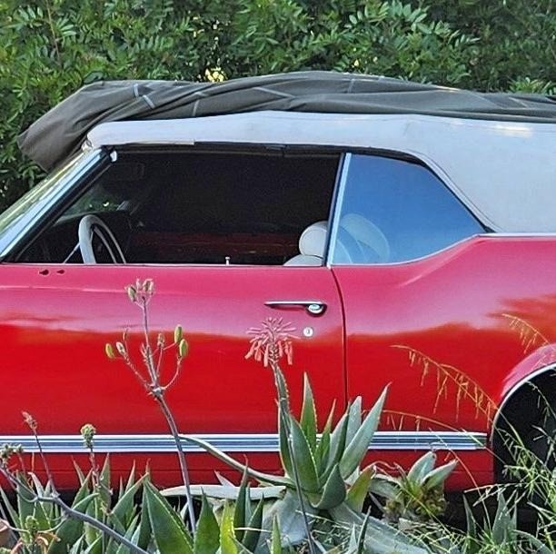 Oldsmobile-Cutlass-1970-Convertible-2