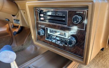Oldsmobile-Cutlass-1979-Coupe-20