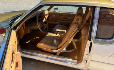 Oldsmobile-Cutlass-1979-Coupe-22