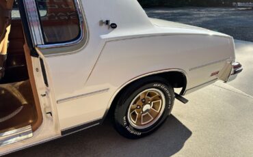 Oldsmobile-Cutlass-1979-Coupe-30