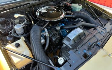 Oldsmobile-Cutlass-1979-Coupe-31