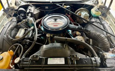 Oldsmobile-Cutlass-Supreme-1976-Coupe-5