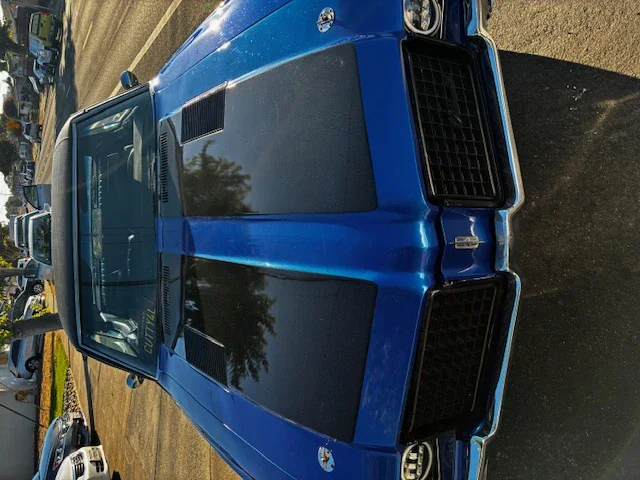 Oldsmobile-Cutlass-cruiser-1972-Blue-Black-4
