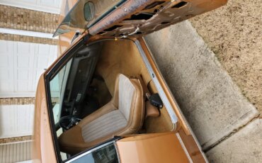 Oldsmobile-Cutlass-supreme-coupe-1972-Brown-Tan-59
